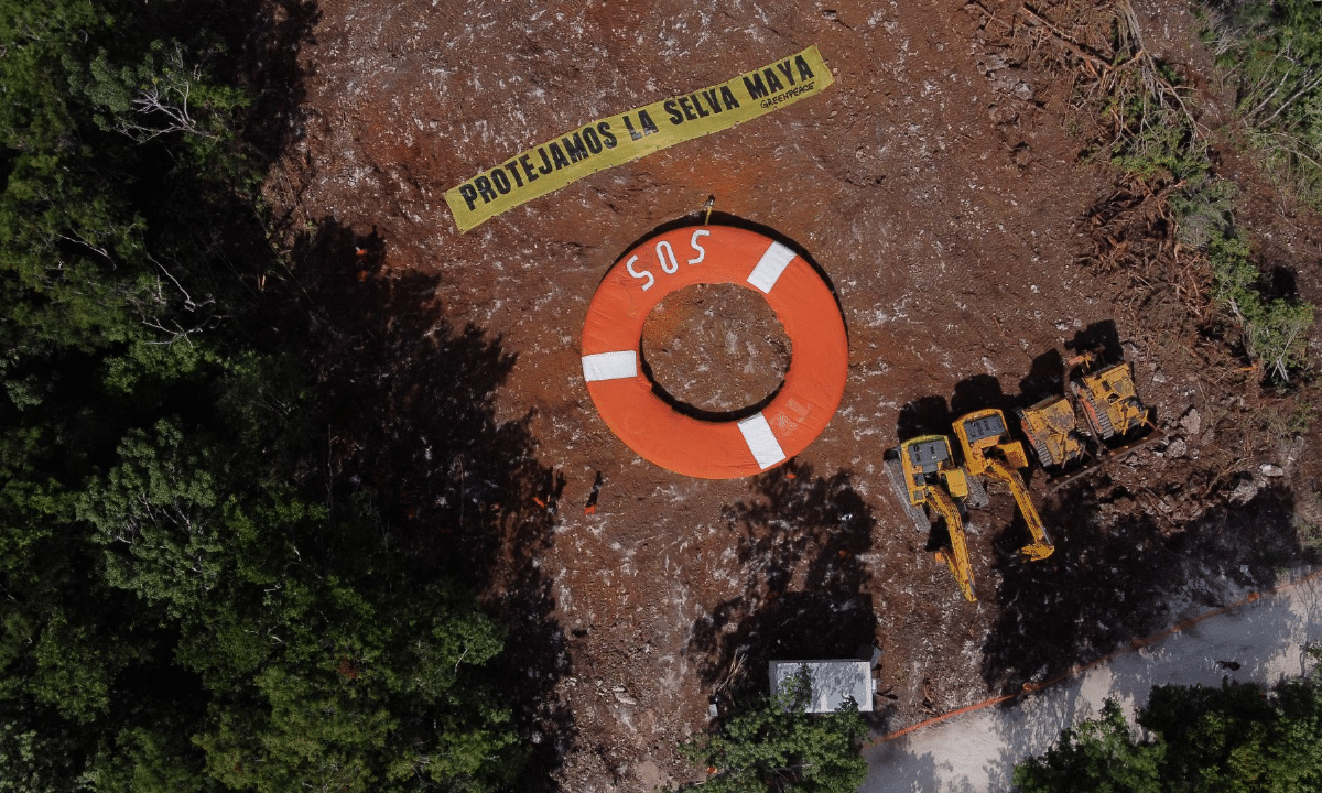 Quintana Roo Tren Maya Ecocidio El Nido zoológicos